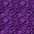 501-07 Púrpura